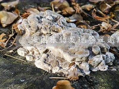 法国旅行发现签证逾期了 法国旅行发现签证逾期了