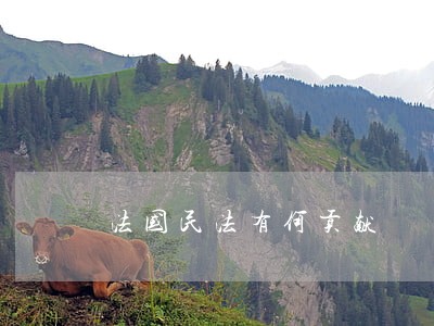 法国民法有何贡献