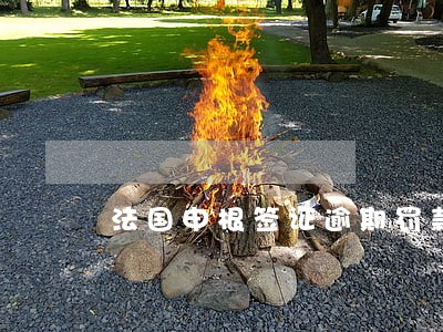 法国申根签证逾期罚款 法国申根签证逾期罚款