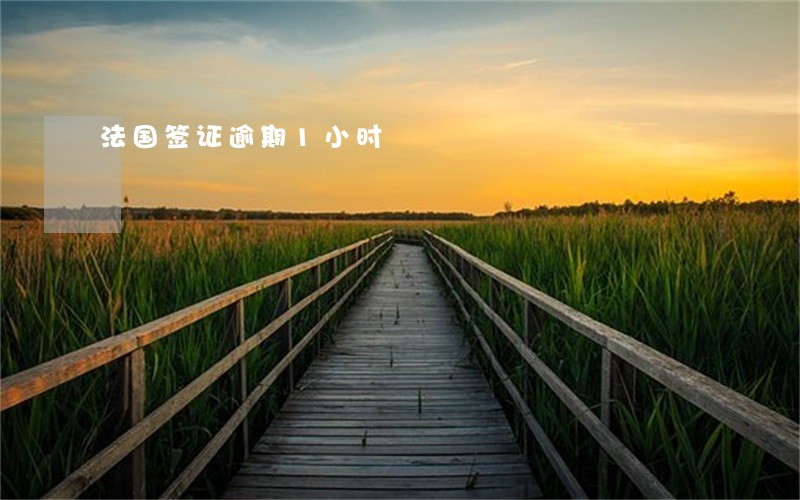 法国签证逾期1小时 法国签证逾期1小时