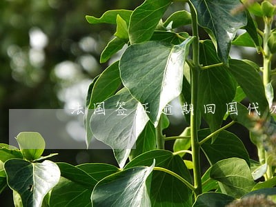 法国签证逾期回国代办 法国签证逾期回国代办