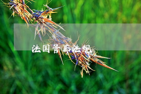 法国管廊法规 法国管廊法规