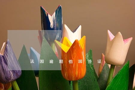 法国逾期德国签证 法国逾期德国签证