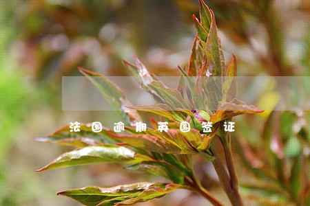 法国逾期英国签证 法国逾期英国签证