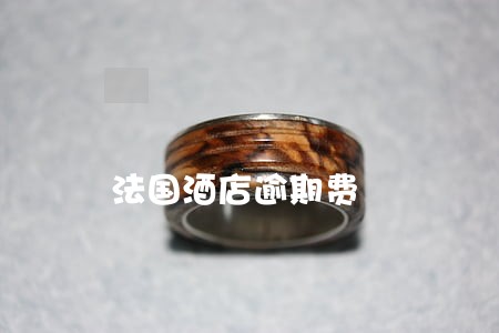 法国酒店逾期费 法国酒店逾期费