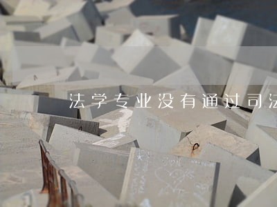 法学专业没有通过司法考试 法学专业没有通过司法考试