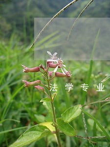 法学专业考试难过嘛 法学专业考试难过嘛
