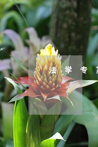 法学专家呼吁完善法规 法学专家呼吁完善法规
