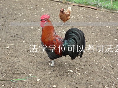 法学学位可以考司法么 法学学位可以考司法么