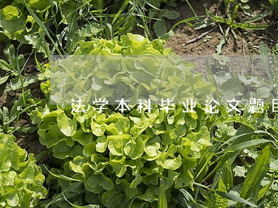 法学本科毕业论文题目刑法方面
