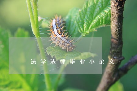 法学法律毕业小论文 法学法律毕业小论文