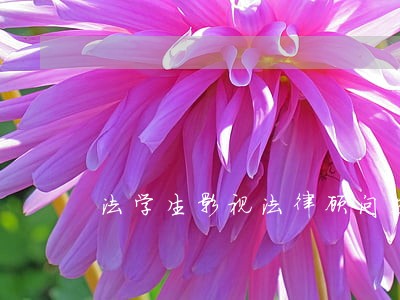 法学生影视法律顾问劣势 法学生影视法律顾问劣势