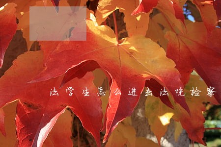 法学生怎么进去法院检察院工作 法学生怎么进去法院检察院工作