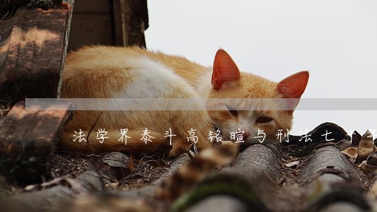 法学界泰斗高铭暄与刑法七十年 法学界泰斗高铭暄与刑法七十年