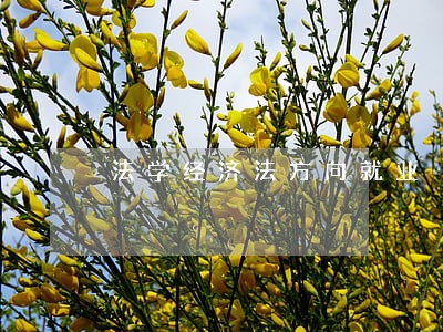 法学经济法方向就业 法学经济法方向就业