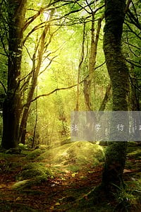 法学行政法基础知识点