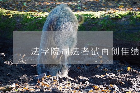 法学院司法考试再创佳绩 法学院司法考试再创佳绩