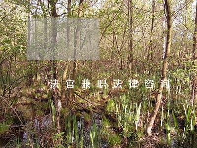 法官兼职法律咨询