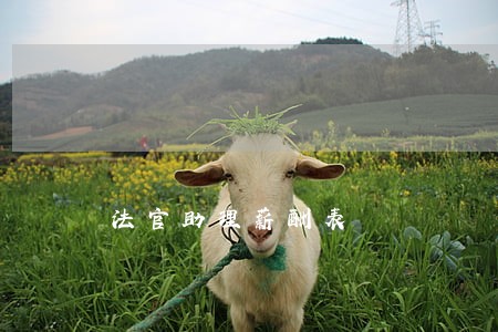 法官助理薪酬表 法官助理薪酬表