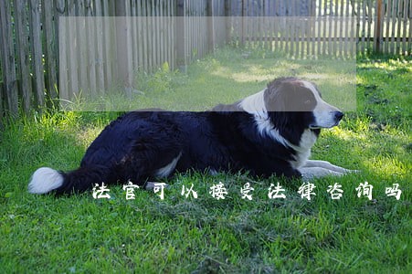 法官可以接受法律咨询吗 法官可以接受法律咨询吗