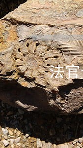 法官告诉我再去找律师把车主添加 法官告诉我再去找律师把车主添加