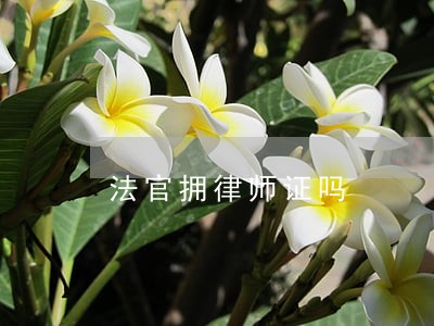 法官拥律师证吗 法官拥律师证吗