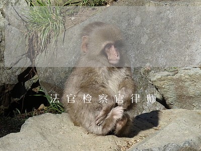 法官检察官律师 法官检察官律师