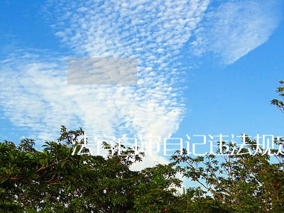 法官自审自记违法规定 法官自审自记违法规定