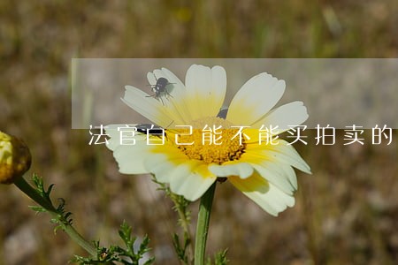 法官自己能不能买拍卖的房子 法官自己能不能买拍卖的房子