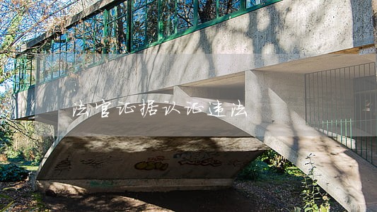 法官证据认证违法 法官证据认证违法