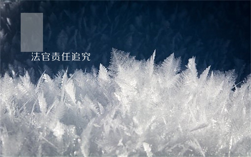 法官责任追究