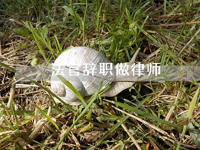 法官辞职做律师 法官辞职做律师