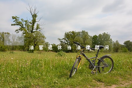 法官退休当法律顾问
