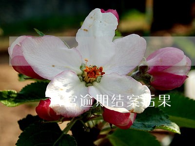 法官逾期结案后果