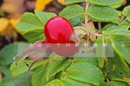 法定三个月病假逾期怎么办 法定三个月病假逾期怎么办