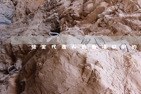法定代表人的各项权利的法律条文 法定代表人的各项权利的法律条文