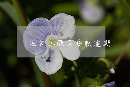 法定休假日贷款逾期 法定休假日贷款逾期