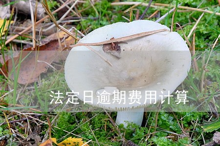 法定日逾期费用计算 法定日逾期费用计算