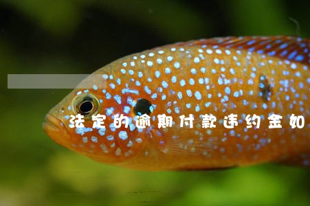 法定的逾期付款违约金如何计算 法定的逾期付款违约金如何计算