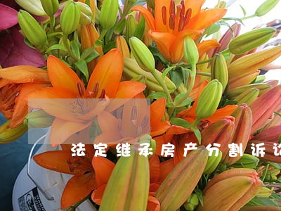 法定继承房产分割诉讼请求