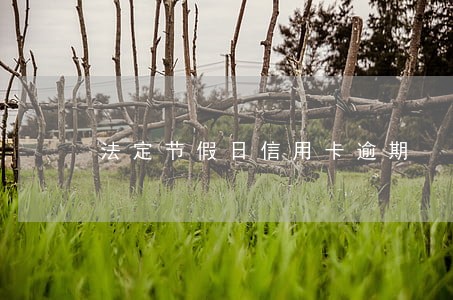 法定节假日信用卡逾期 法定节假日信用卡逾期