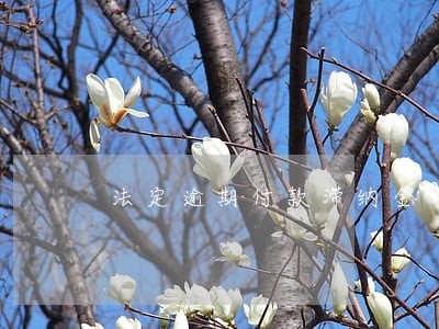 法定逾期付款滞纳金 法定逾期付款滞纳金