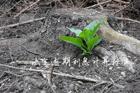 法定逾期利息计算标准 法定逾期利息计算标准