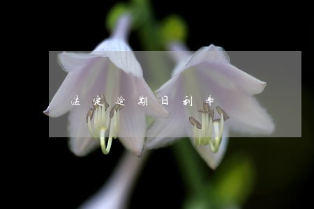法定逾期日利率 法定逾期日利率