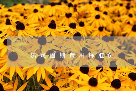 法定逾期费用标准6 法定逾期费用标准6