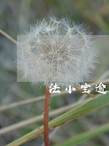 法小宝逾期后如何协商分期 法小宝逾期后如何协商分期