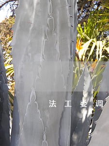 法工委调研法院工作座谈 法工委调研法院工作座谈