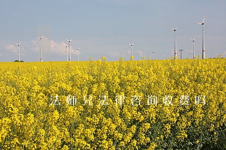 法师兄法律咨询收费吗 法师兄法律咨询收费吗