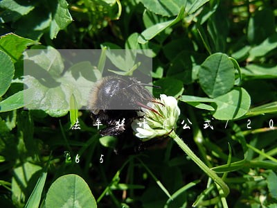 法年奖计算公式/2023021318965