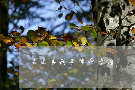 法库县刑事律师咨询